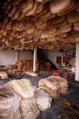 In January 9th early Shanghai rubber down 50 to 26,130 yuan Rubber market news abcde 388 